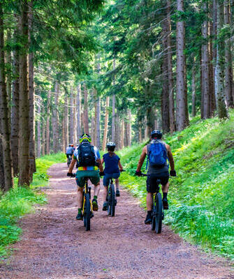 promenade-foret
